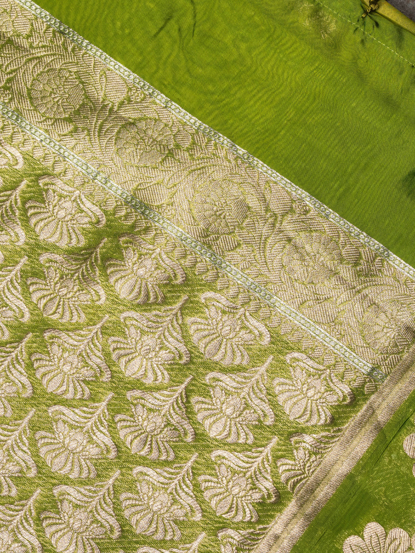 Organsa Banarasi Green