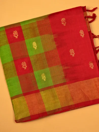 Andhra silk cotton saree