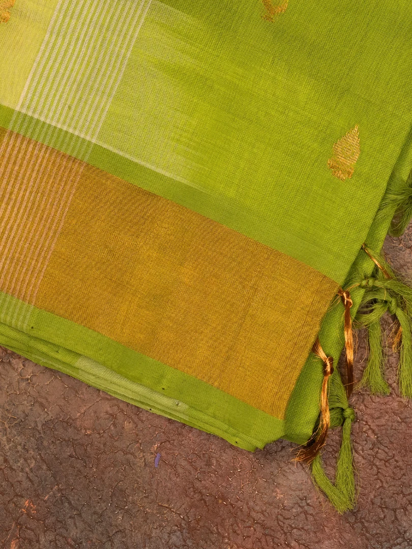 Andhra Light Green Silk Cotton Saree 3